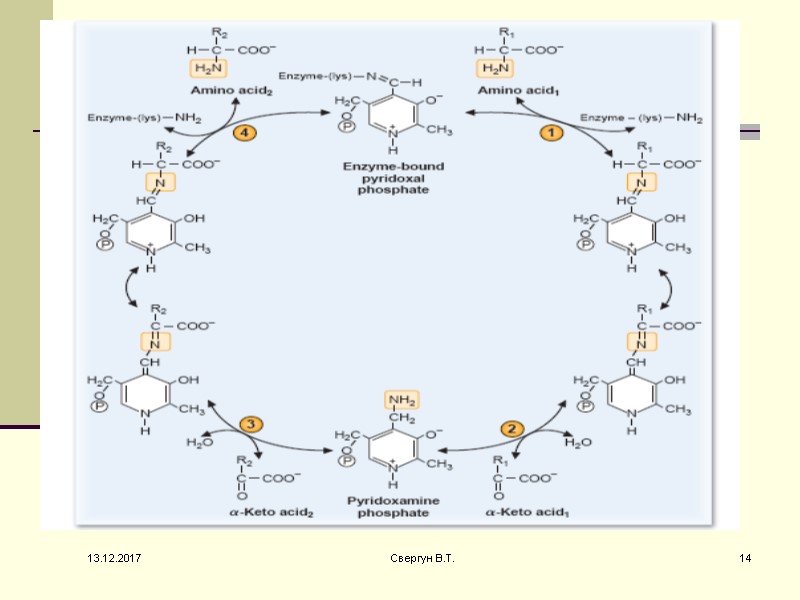 13.12.2017 14 Свергун В.Т.